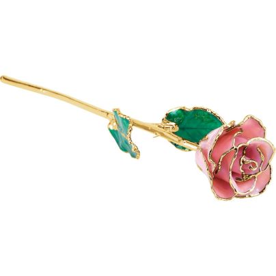 Pink Pearl Rose with Gold Trim