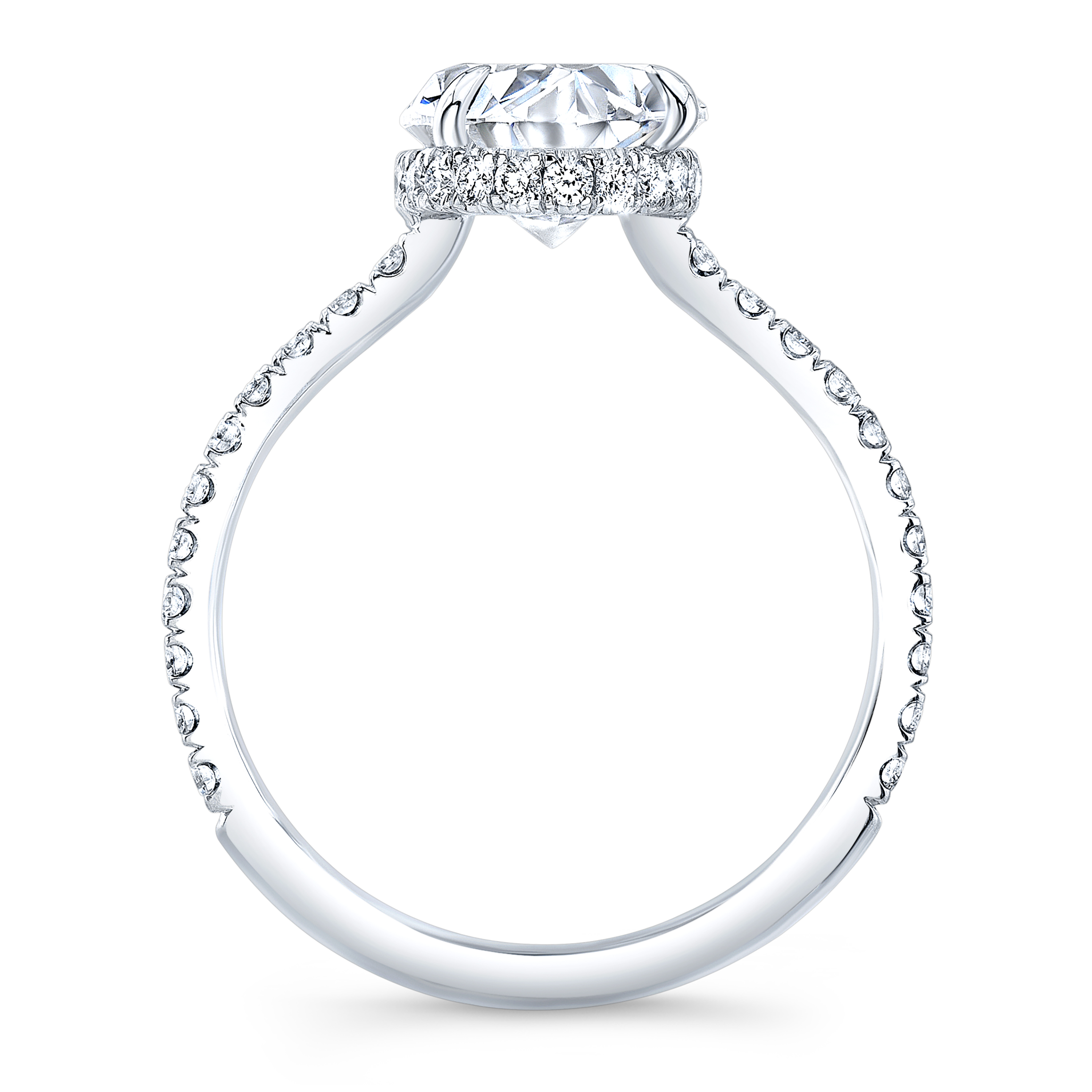 diamond engagement ring in white gold Natural Oval Hidden Halo Pave